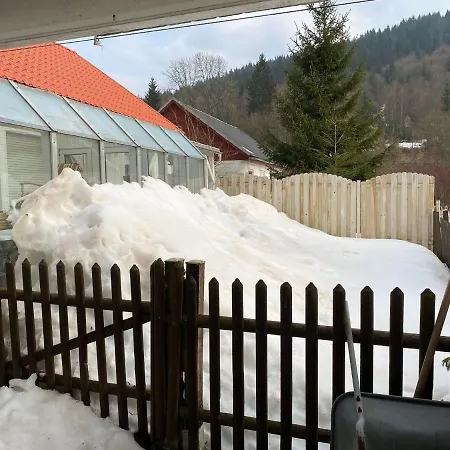 Detached With Fenced Garden